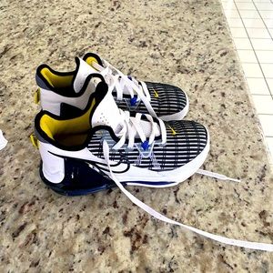 Nike Lebron Basketball shoes